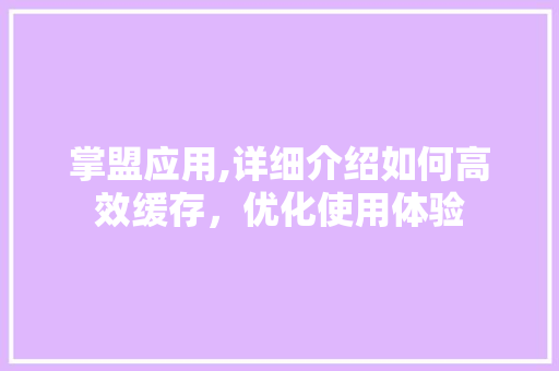 掌盟应用,详细介绍如何高效缓存，优化使用体验