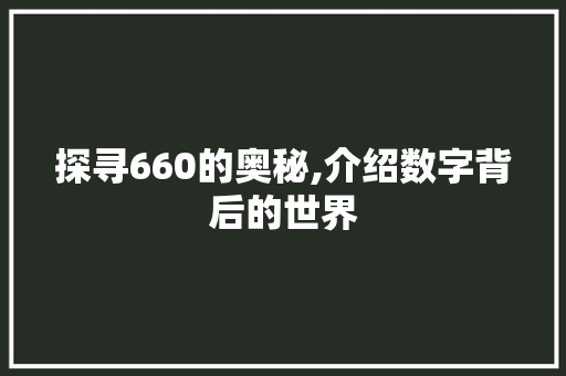 探寻660的奥秘,介绍数字背后的世界 Web前端