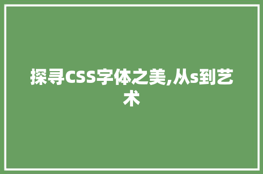 探寻CSS字体之美,从s到艺术