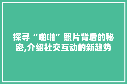 探寻“啪啪”照片背后的秘密,介绍社交互动的新趋势 SEO教程