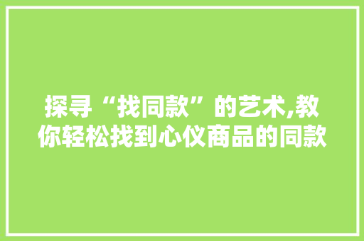 探寻“找同款”的艺术,教你轻松找到心仪商品的同款替代品 SEO教程