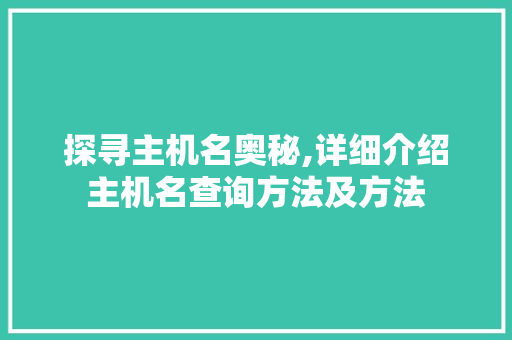 探寻主机名奥秘,详细介绍主机名查询方法及方法