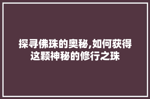 探寻佛珠的奥秘,如何获得这颗神秘的修行之珠