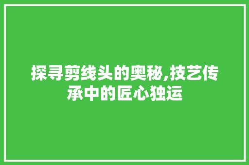 探寻剪线头的奥秘,技艺传承中的匠心独运