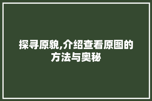 探寻原貌,介绍查看原图的方法与奥秘
