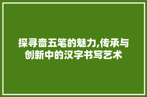 探寻啬五笔的魅力,传承与创新中的汉字书写艺术