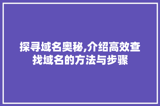 探寻域名奥秘,介绍高效查找域名的方法与步骤