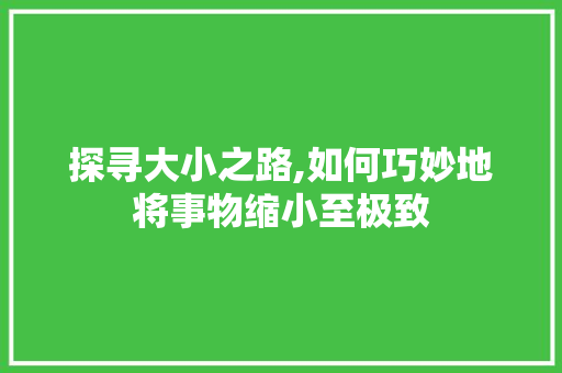 探寻大小之路,如何巧妙地将事物缩小至极致