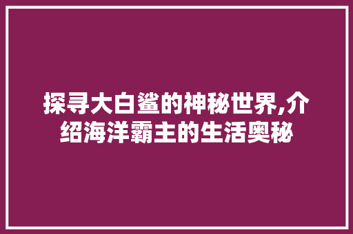 探寻大白鲨的神秘世界,介绍海洋霸主的生活奥秘
