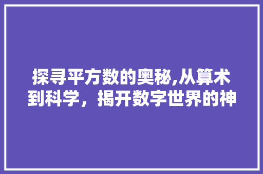 探寻平方数的奥秘,从算术到科学，揭开数字世界的神秘面纱