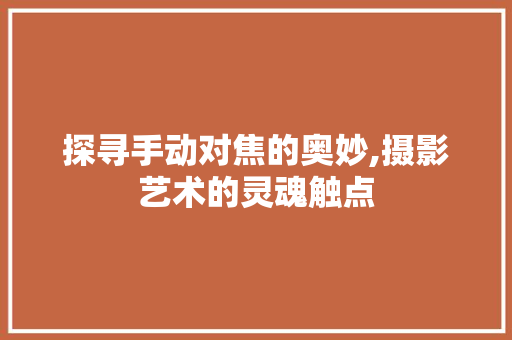 探寻手动对焦的奥妙,摄影艺术的灵魂触点