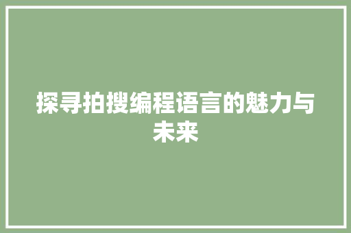 探寻拍搜编程语言的魅力与未来