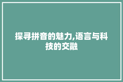 探寻拼音的魅力,语言与科技的交融