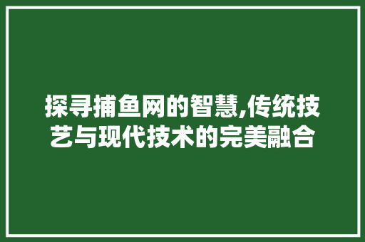 探寻捕鱼网的智慧,传统技艺与现代技术的完美融合
