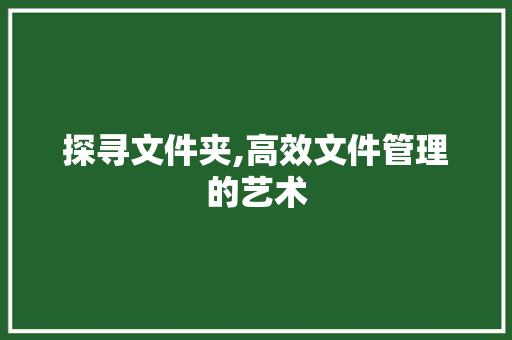 探寻文件夹,高效文件管理的艺术