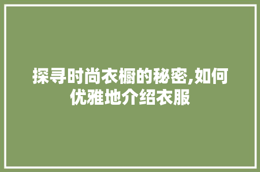 探寻时尚衣橱的秘密,如何优雅地介绍衣服