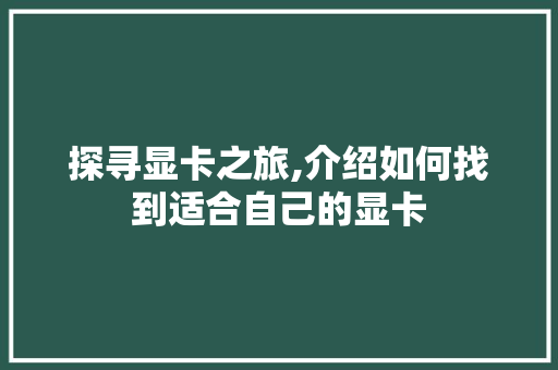 探寻显卡之旅,介绍如何找到适合自己的显卡