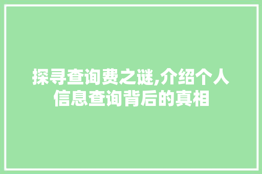 探寻查询费之谜,介绍个人信息查询背后的真相