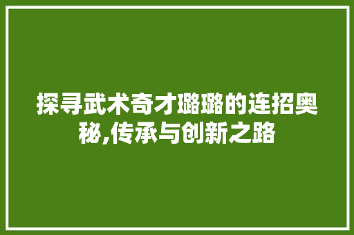 探寻武术奇才璐璐的连招奥秘,传承与创新之路 友链在线