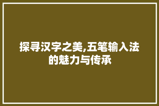 探寻汉字之美,五笔输入法的魅力与传承