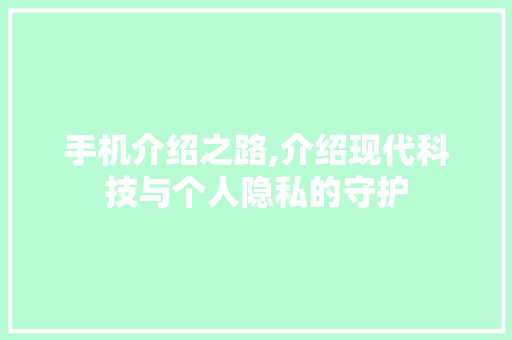手机介绍之路,介绍现代科技与个人隐私的守护