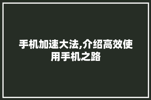 手机加速大法,介绍高效使用手机之路