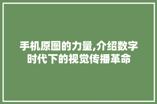 手机原图的力量,介绍数字时代下的视觉传播革命