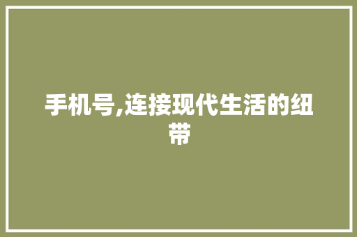 手机号,连接现代生活的纽带