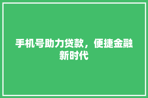 手机号助力贷款，便捷金融新时代