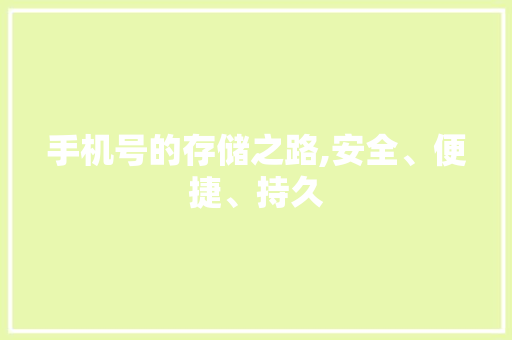 手机号的存储之路,安全、便捷、持久