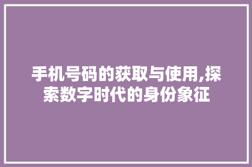手机号码的获取与使用,探索数字时代的身份象征
