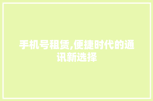 手机号租赁,便捷时代的通讯新选择