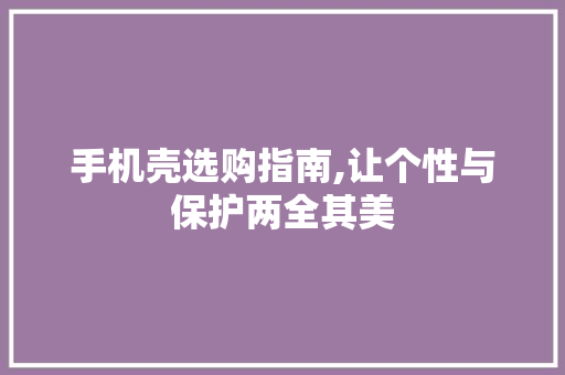 手机壳选购指南,让个性与保护两全其美 SEO教程