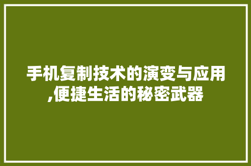 手机复制技术的演变与应用,便捷生活的秘密武器