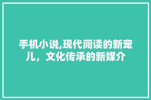 手机小说,现代阅读的新宠儿，文化传承的新媒介