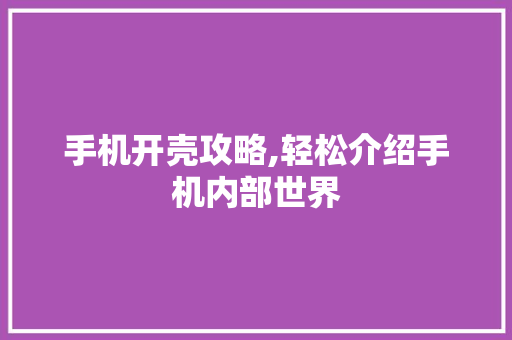 手机开壳攻略,轻松介绍手机内部世界