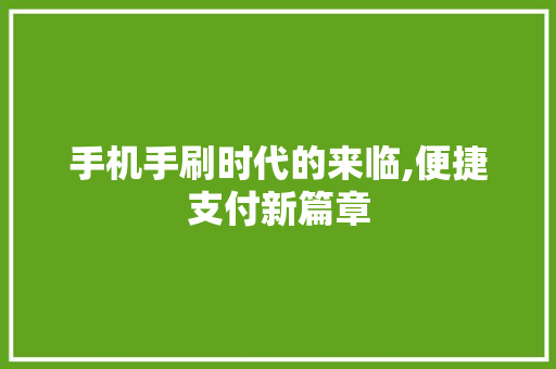 手机手刷时代的来临,便捷支付新篇章
