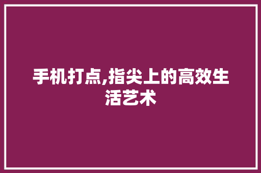 手机打点,指尖上的高效生活艺术