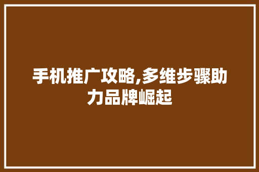 手机推广攻略,多维步骤助力品牌崛起