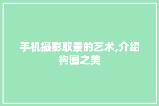 手机摄影取景的艺术,介绍构图之美