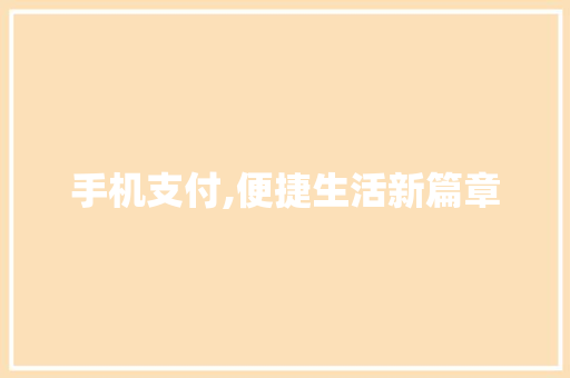 手机支付,便捷生活新篇章