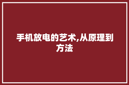 手机放电的艺术,从原理到方法