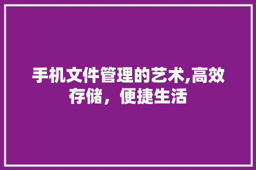 手机文件管理的艺术,高效存储，便捷生活