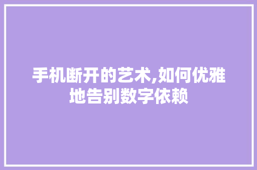 手机断开的艺术,如何优雅地告别数字依赖