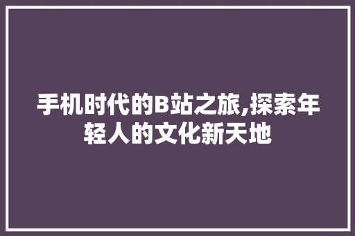 手机时代的B站之旅,探索年轻人的文化新天地