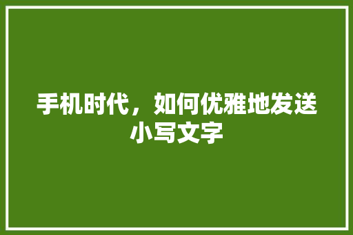 手机时代，如何优雅地发送小写文字 WordPress教程