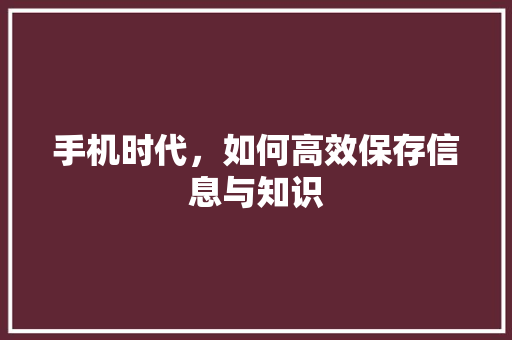 手机时代，如何高效保存信息与知识
