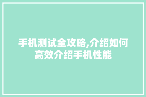 手机测试全攻略,介绍如何高效介绍手机性能