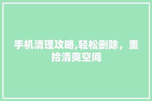 手机清理攻略,轻松删除，重拾清爽空间