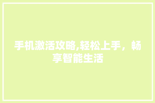 手机激活攻略,轻松上手，畅享智能生活